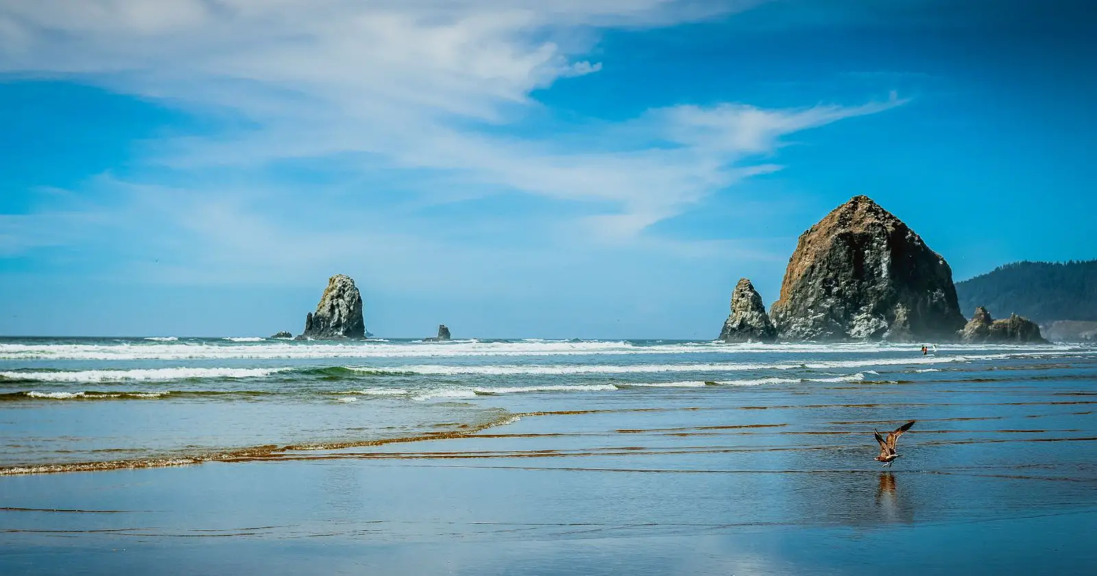 10 Best Oregon Beaches for a Staycation